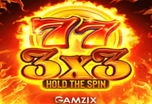 logo  hold the spin gamzi